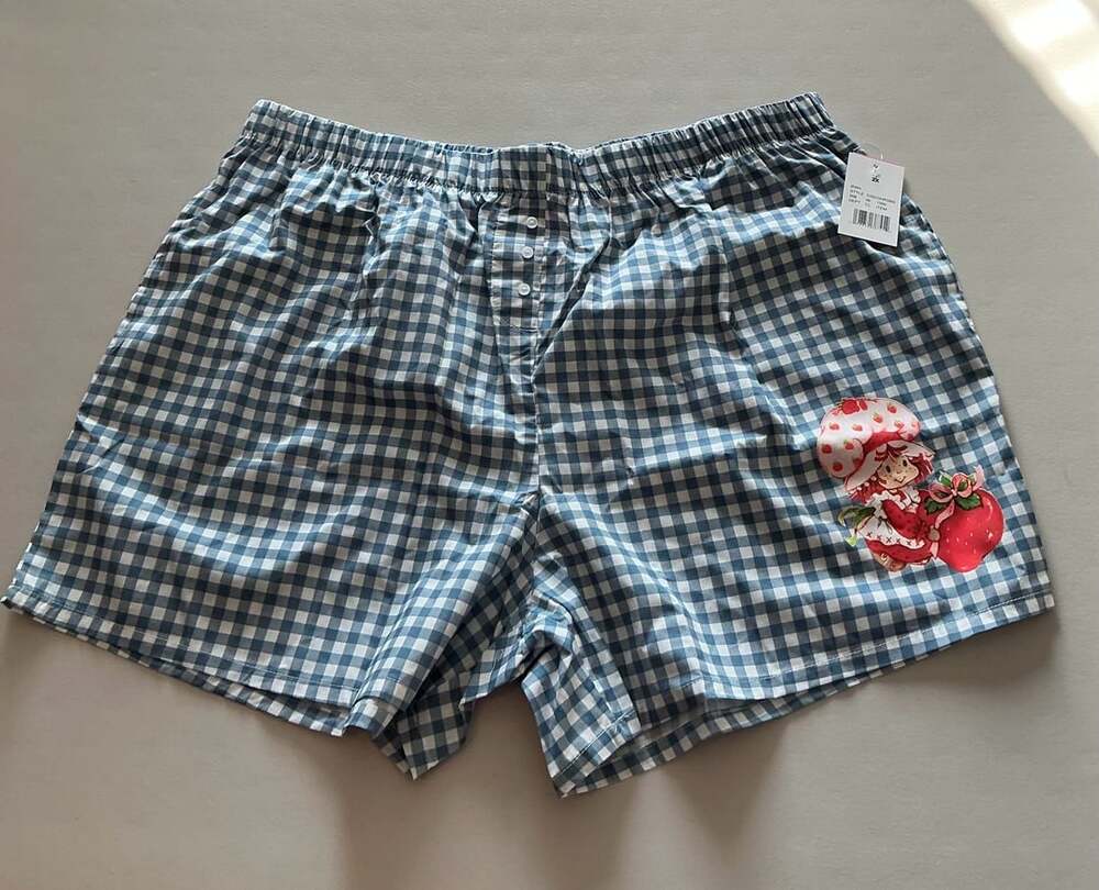 Strawberry Shortcake Blue Gingham PJ Shorts Size 2X New with Tags